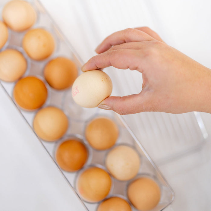 Clear Fridge Egg Organiser Tray. Egg holder and storage tray for 14 eggs